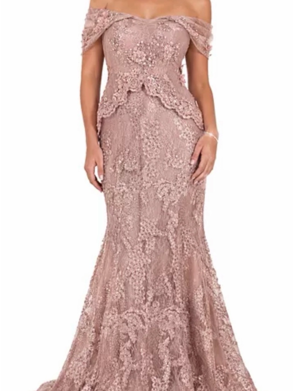 NWT Shani Off-Shoulder Embroidered 3D Floral Appliqué Gown, Size 10 Petal